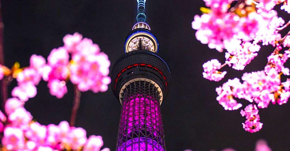 1 Day Tokyo Private Charter Sightseeing Tour With Guide - Just The Basics