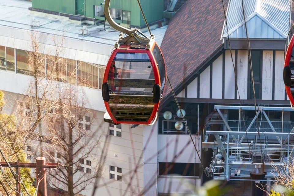 1-Day Walking Tour Around Kobe : Mountains, Sea and Sake - Key Takeaways