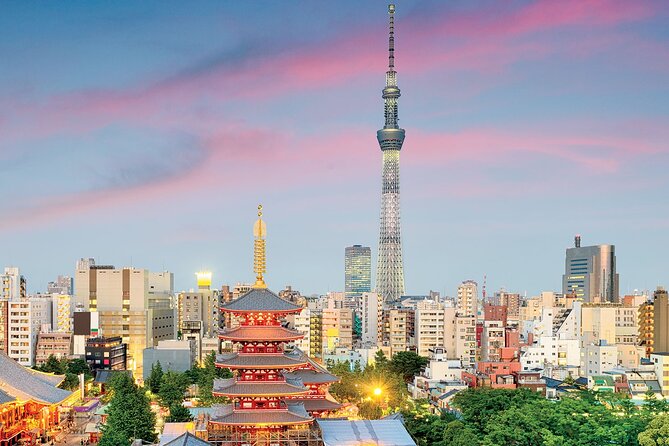 4-Day Private MT Fuji Tokyo Kamakura Hakone Nikko Yokohama