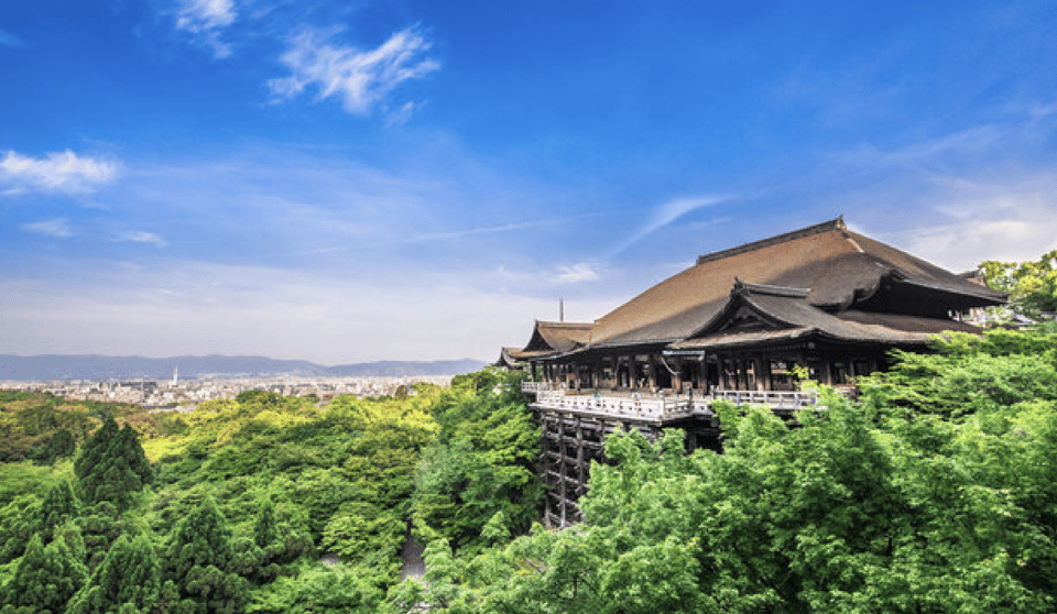 A Customized One Day Immersion in Kyoto - Features and Accessibility