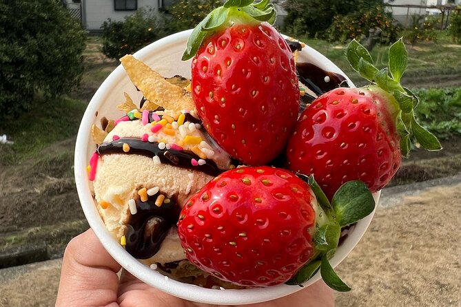 All You Can Eat Strawberry Picking in Izumisano, Osaka