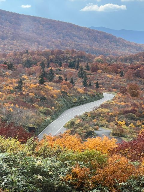 Driving Support in Akita - Pricing and Duration