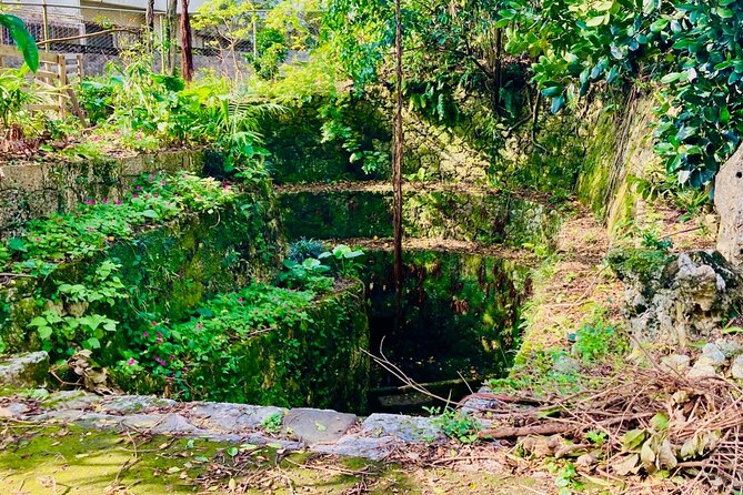 E-Bike Nature Tour in Shuri