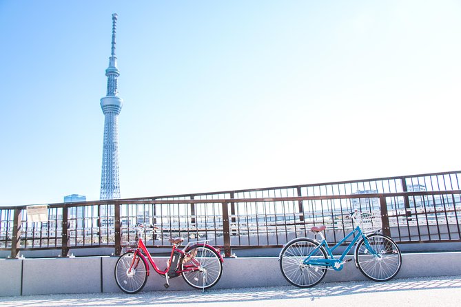 [Electric Bicycle Tour]: 6-Hour Travel Course by Electric Bicycle Asakusa, Ueno Park, Edo-Tokyo Muse