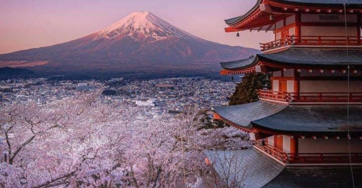 From Tokyo: MT Fuji Hakone Owakudani Valley Private Tour - Tour Details