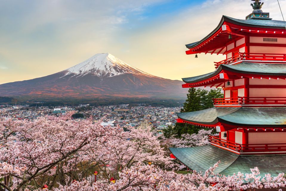 From Tokyo: Mt. Fuji or Hakone Private Sightseeing Day Trip - Trip Details
