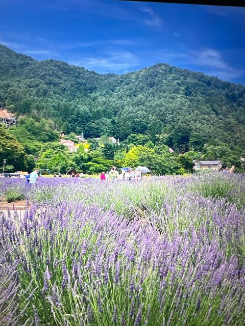 From Tokyo/Yokohama: Mount Fuji Private Tour With Pickup
