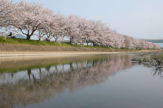 Fukuoka Custom Full Day Tour