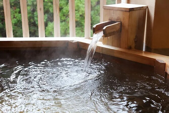 Full-Day Enoura Observatory and Hakone Hot Spring Private Tour