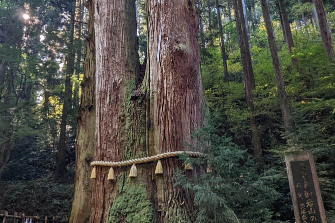 Full-Day Private Adventure in Ibaraki and Fukuroda Waterfalls