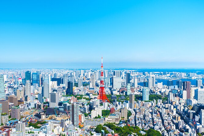 Full Day Private Shore Tour in Tokyo From Yokohama Cruise Port