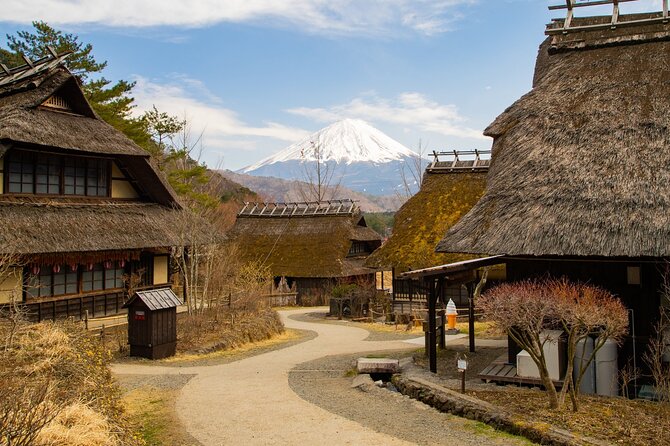 Full Day Private Tour of Mt Fuji and Hakone