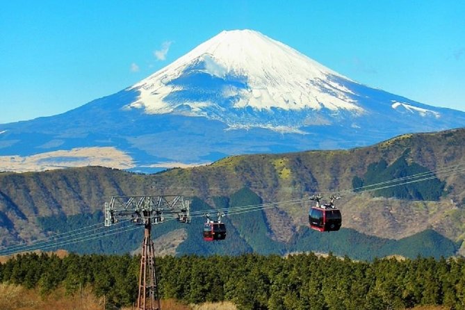 Hakone Full-Day Private Tour