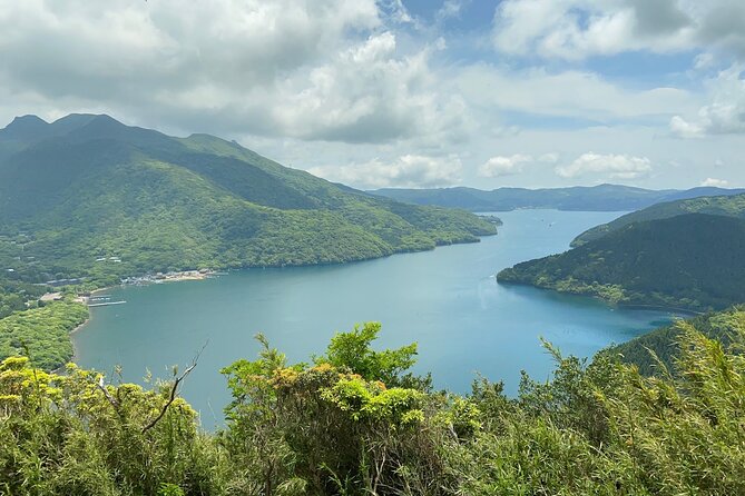 Hakone Old Tokaido Road and Volcano Half-Day Hiking Tour