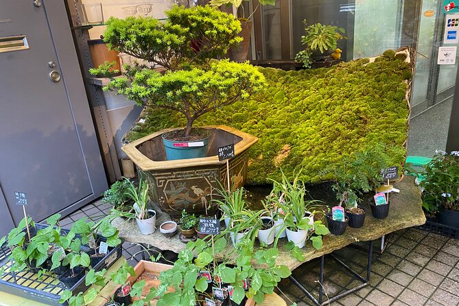 Ikebana Experience Tour in Kyoto