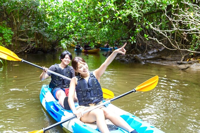Iriomote Island, Okinawa – Canoeing Tour in a World Heritage Site