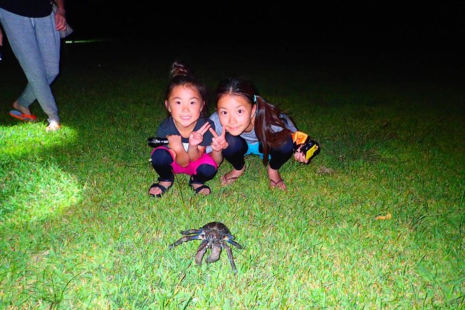 Iriomote, Okinawa Night Adventure Tour