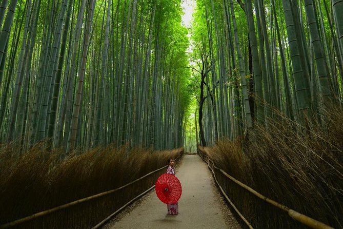 Japan Autumn & Winter Illuminations Discovery Tour (12 Days)