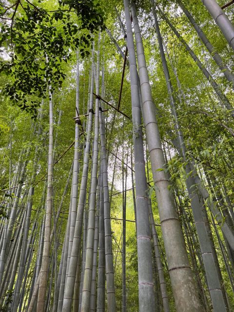 Japan Tour by Moroccan Eyes