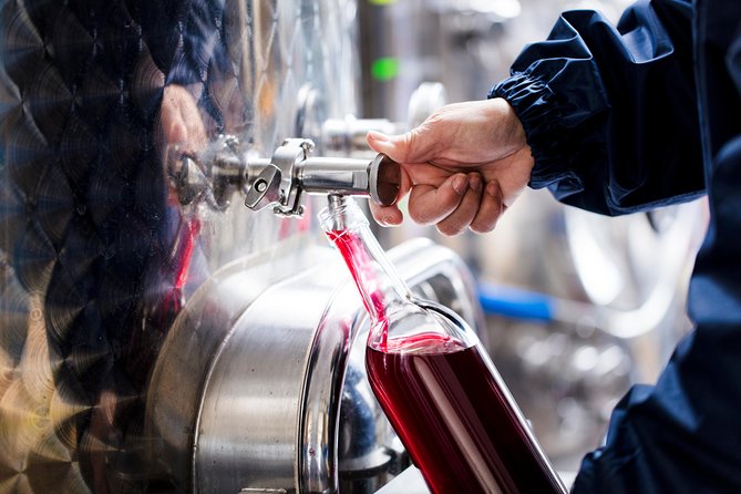 Japanese Cuisine Making Tour With Wine Experience by Yokohama Winery - Tour Highlights