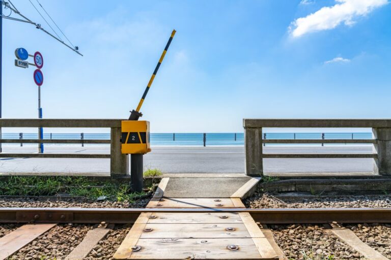 Kamakura: Private Guided Walking Tour With Local Guide