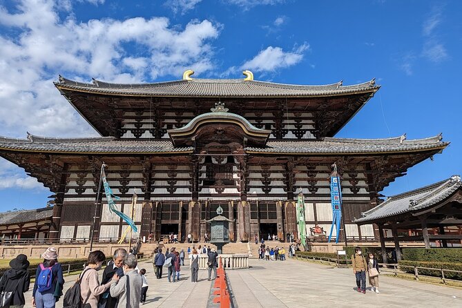 Kansai Adventure: Discovering Nara Private Guided Tour