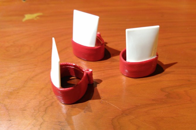 Koto Lesson & Private Concert