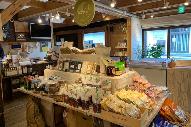 Kumamoto Castle Town Walking Tour With Local Guide