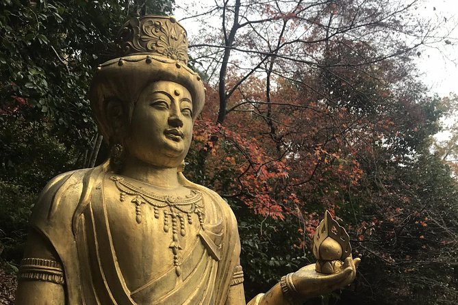 Kyoto: Descending Arashiyama (Private)