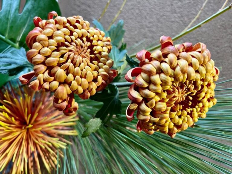 Kyoto: Ikebana Flower Arrangement at a Traditional House