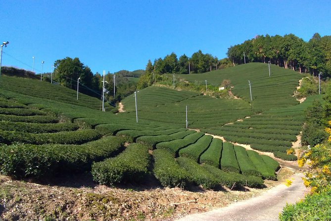 Kyoto, Nara 2 Days Bike Tour With Overnight Self Guided