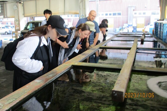 Maze Town Walking and Exploring Fish Market in Izumisano, Osaka