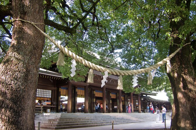 Meiji Jingu Shrine, Shibuya Crossing by a Local Guide Tip-Based