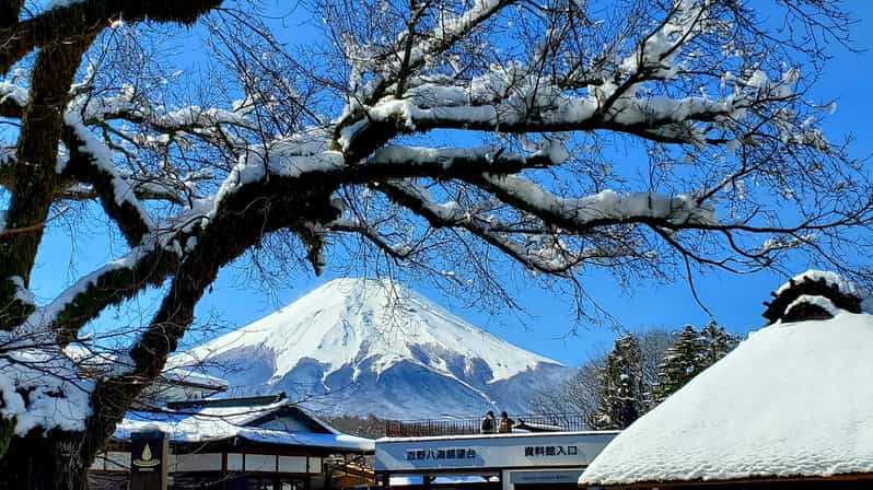 Mt. Fuji and Hakone: Full Day Private Tour W English Guide - Tour Details