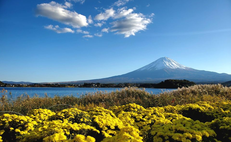 Mt Fuji: Full Day Private Tour With English Guide - Tour Details