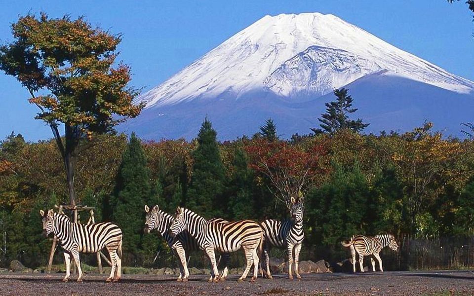 Mt Fuji : Highlight Tour and Unforgettable Experience - Tour Details