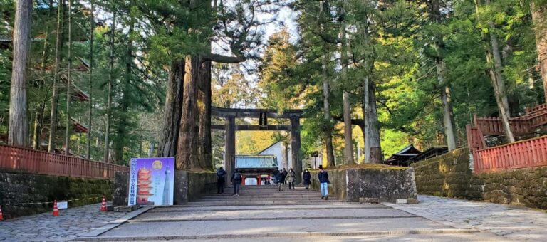 Nikko, Tochigi: Full Day Private Nature Tour W English Guide