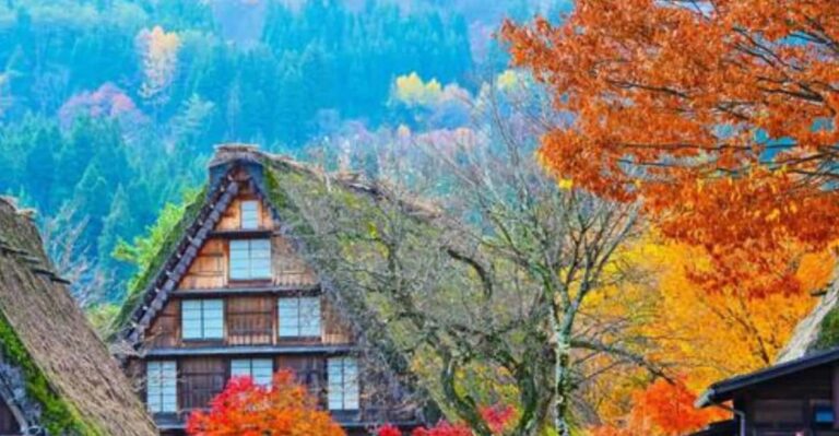 One Day Private Tour to Shirakawa-go & Takayama