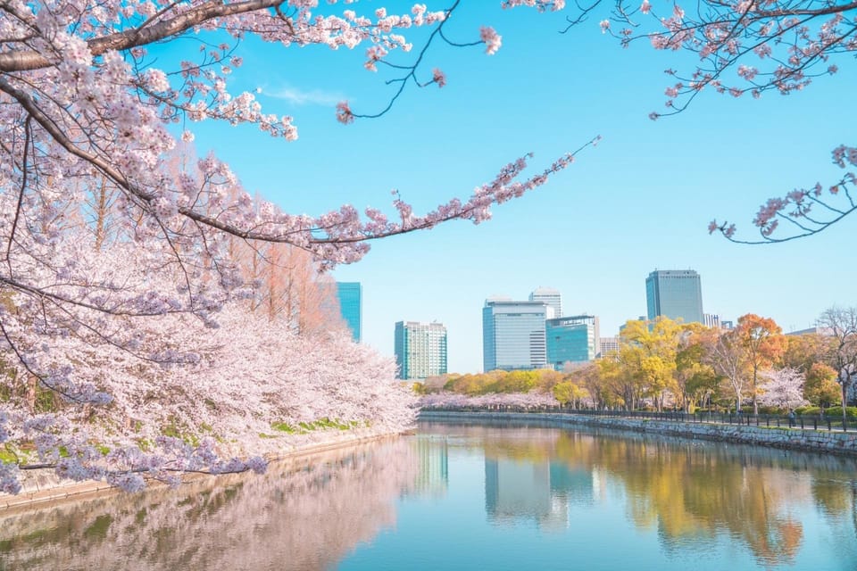 Osaka: 1-Day Private Customizable Trip by Car - Trip Details