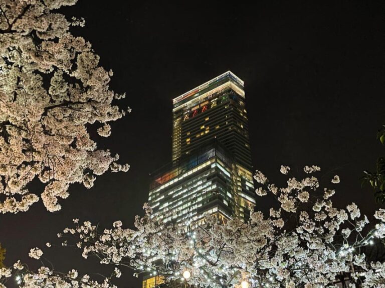 Osaka: Abeno Harukas 300 Observatory E-Ticket