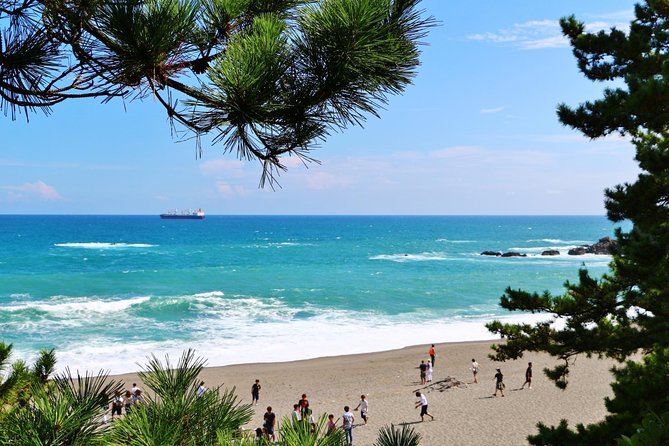 Port Pick-Up: Kochi Tour With Licensed Guide and Vehicle