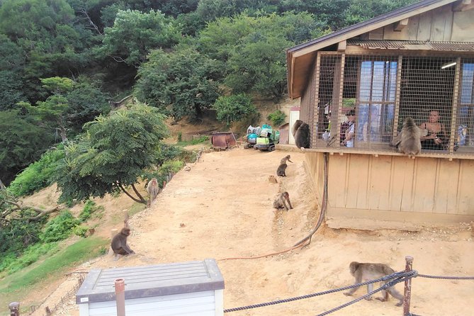 Private Full-Day Tour: Kyoto’s Arashiyama and Kinkakuji Temple 2024