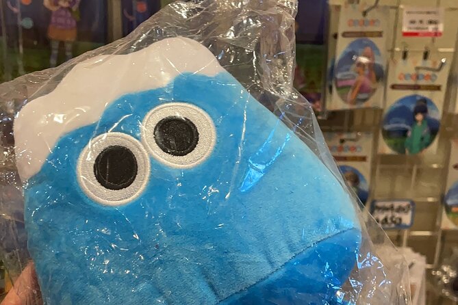 Private Kawaguchiko Tour With Mt Fuji View