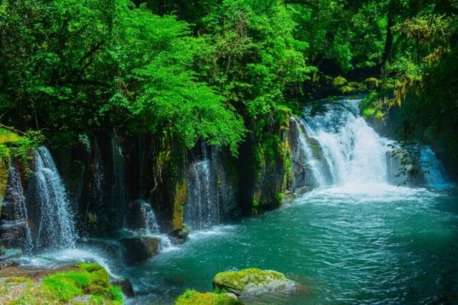 Private Tour From Fukuoka to Mt Aso With Horse Riding