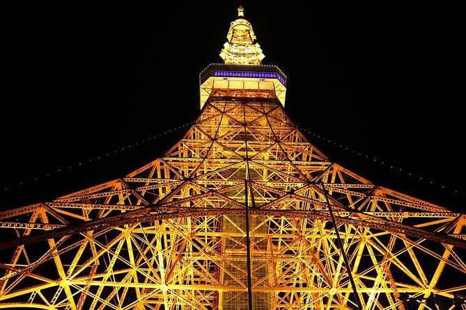 Private Transport Tokyo City Night View Tour