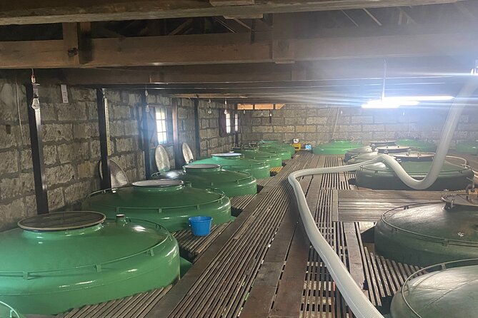 Private Walking and Wine Tasting Sake Brewery Tour in Ibaraki