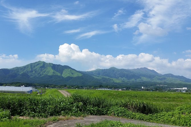 Rental Cycle (E-Bike)