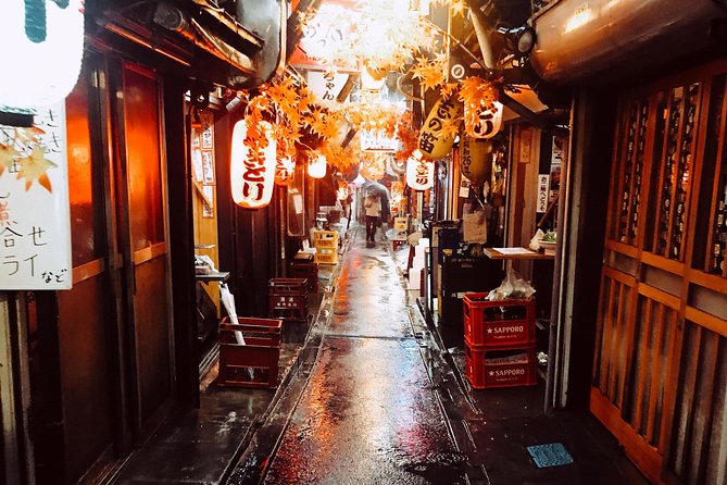 Shinjuku City Tokyo Small-Group Tour With Karaoke
