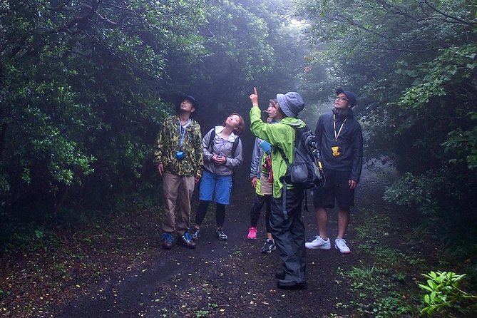 Shiratani-Unsuikyo Trekking Tour in Yakushima Island