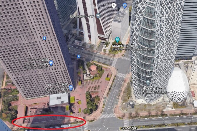 Snow Monkey, Shiga Kogen Roman Museum With Lunch Buffet